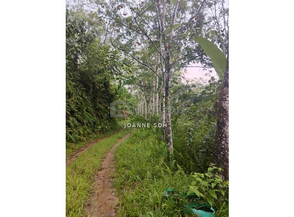 Hulu Selangor, Selangor 48200