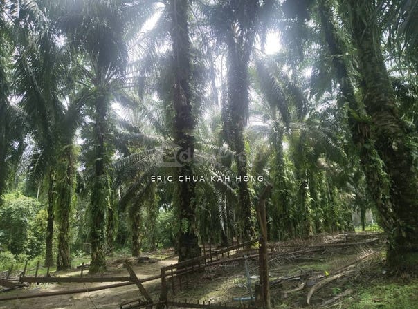 Batu Gajah, Perak 31550
