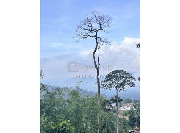 Jalan Kampung, Bentong, Pahang 28750