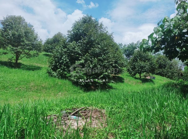 Batang Kali, Selangor 44300