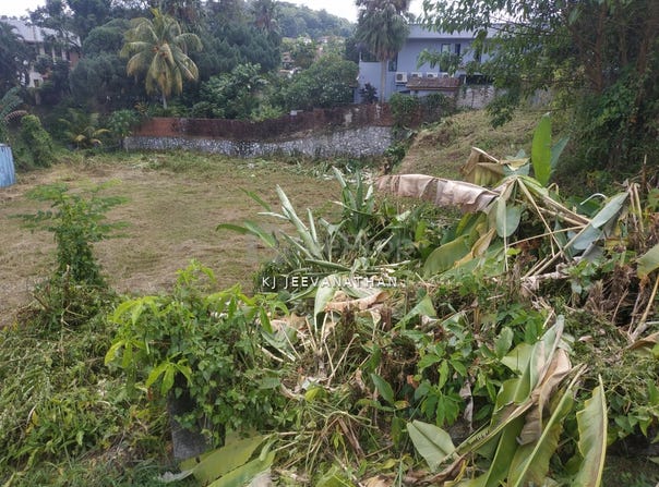 Petaling Jaya, Selangor 47300