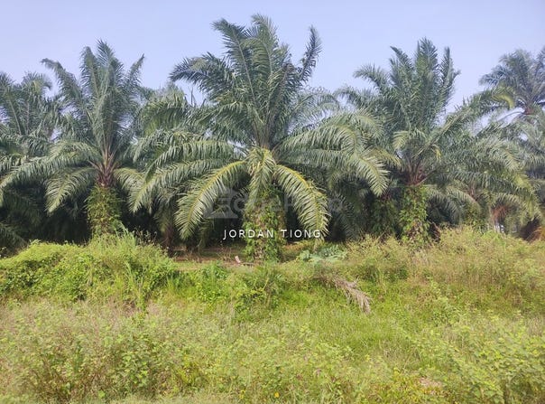 Jalan Telok Mengkuang 42500 Klang, Selangor Malaysia, Klang, Selangor 42500