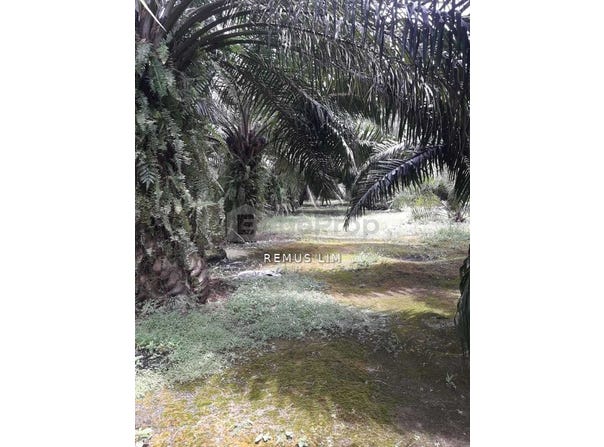 Telok Panglima Garang, Selangor 42500
