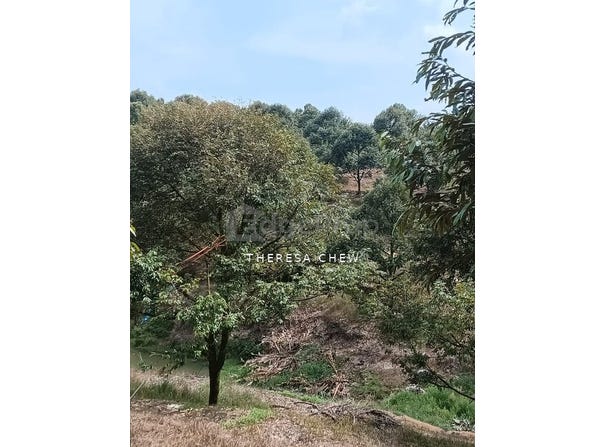 Batang Padang, Perak 35500