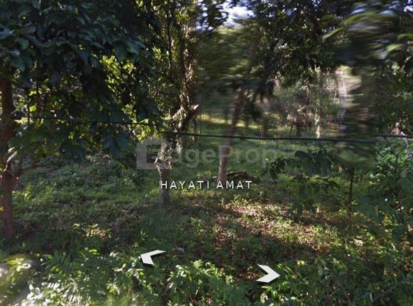 Langkawi, Kedah 7000