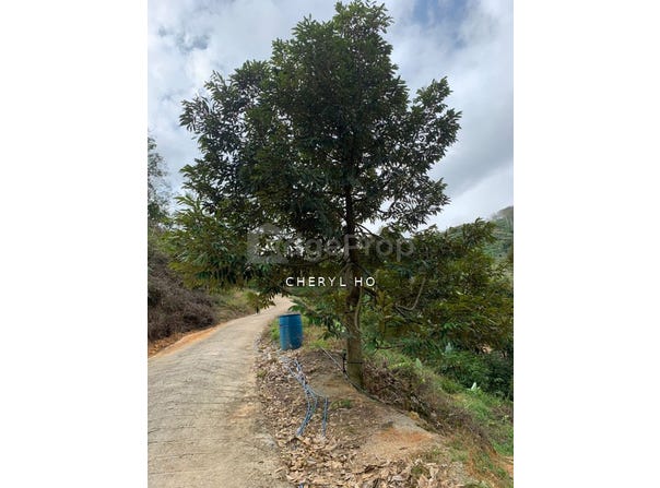 Raub, Pahang 26700