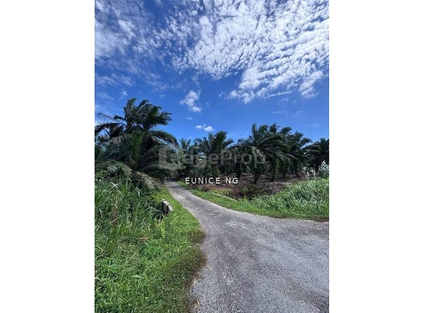 Pontian, Johor 82100