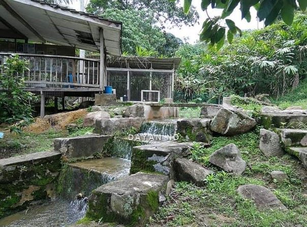 Jalan Kampung, Bentong, Pahang 28750