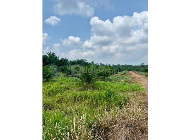 Pontian, Johor 82200