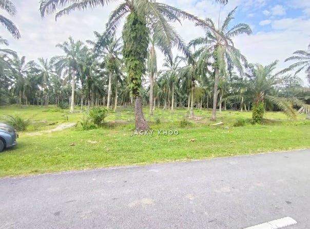 Banting, Selangor 42700