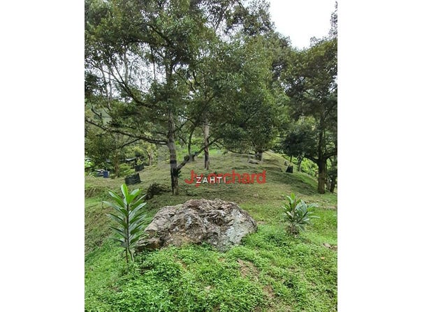 Bentong, Pahang 28700