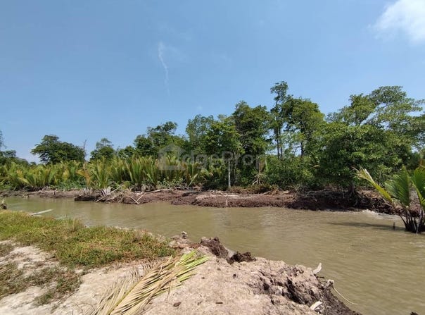 Pulau Carey, Selangor