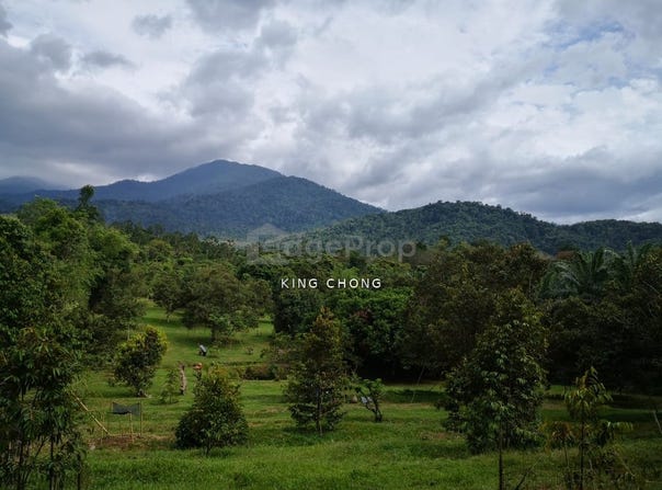 Hulu Selangor, Selangor 35900