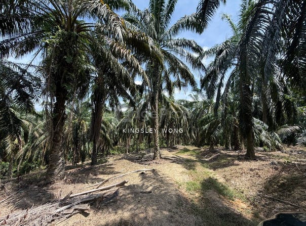 Sungai Siput , Kuala Kangsar, Perak 31100