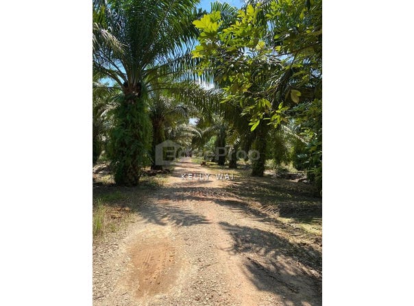 Pontian, Johor 82000