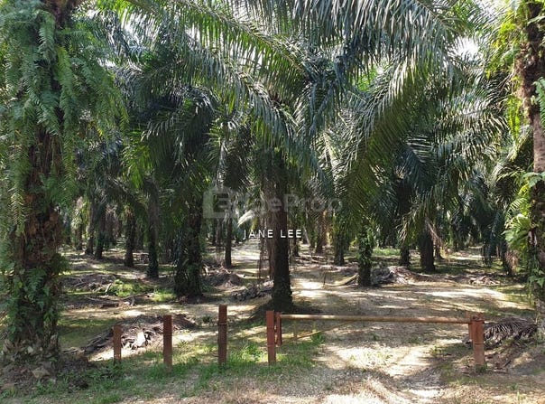 Parit, Perak 32800