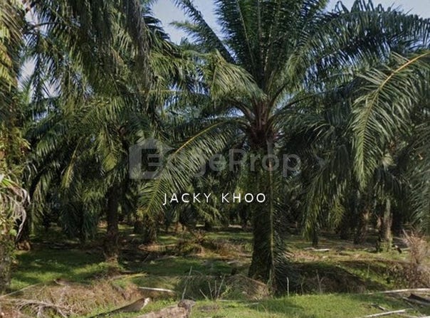 Taiping, Perak 34010