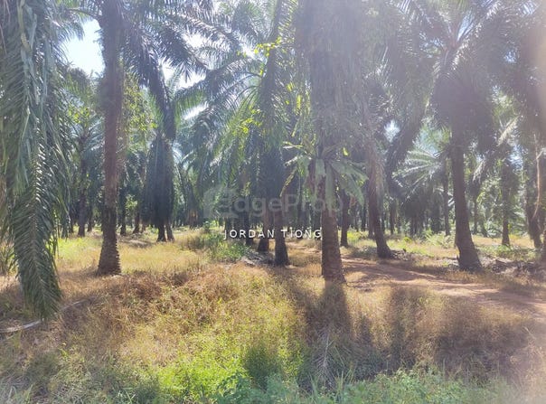 Jalan Telok Mengkuang 42500 Klang, Selangor Malaysia, Klang, Selangor 42500