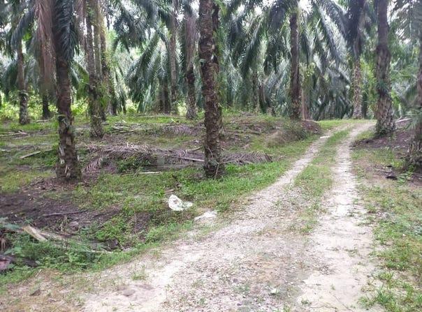 Parit, Perak 32800