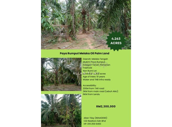 Paya Rumput, Melaka 76450