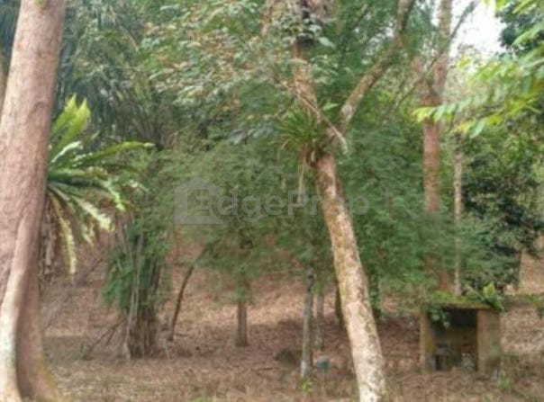 Batang Padang, Slim River, Perak 35000