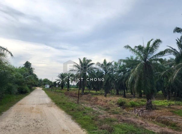 Manjung, Perak 32000