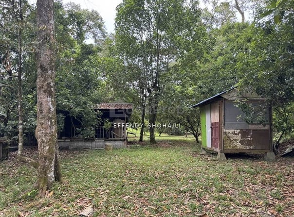 Batang Kali, Selangor 48500