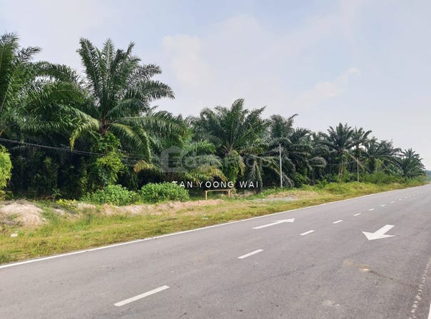 Sepang, Selangor 43900
