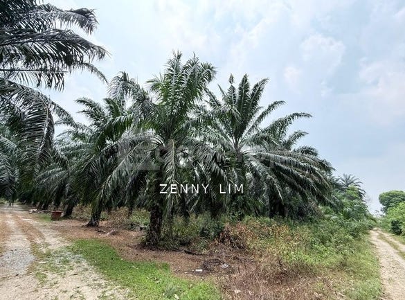 Shah Alam, Selangor 40470