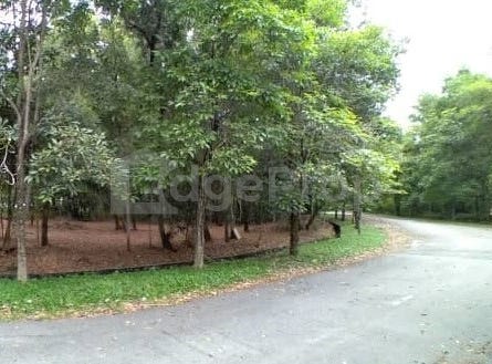 Putra Harmoni , Subang Jaya, Selangor 47100