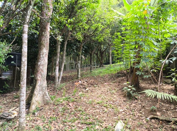 Rawang, Selangor 47000