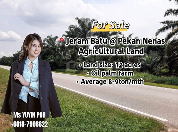 Pekan Nanas, Johor 81500
