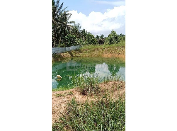 Senai, Johor 81400