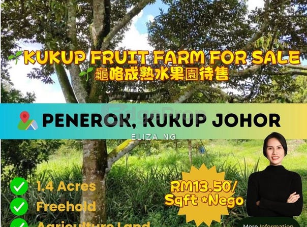 Pontian, Johor 82300