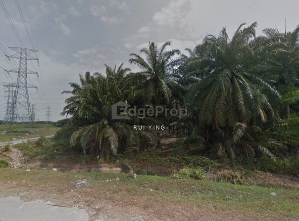 Banting, Selangor 42700