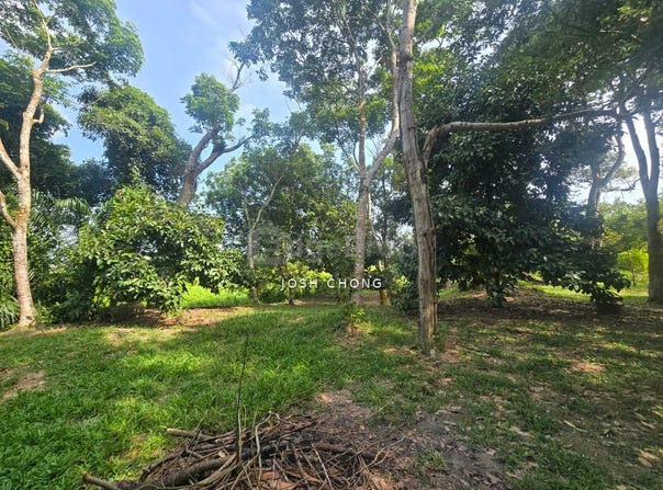 Jalan Besar Kampung Pasir, Batang Kali, Selangor 44300