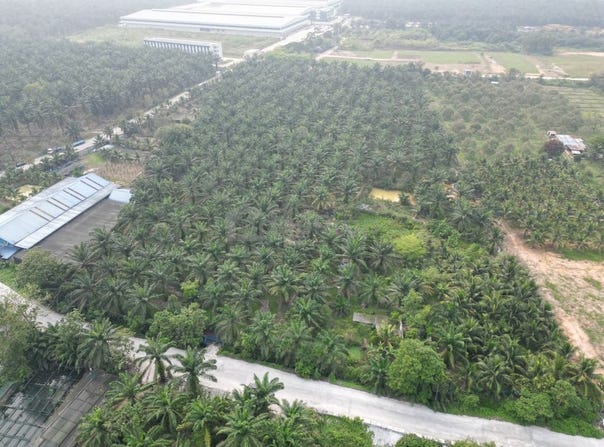 Pekan Nanas, Johor 81500