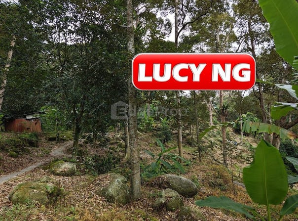 Lintang Sungai Batu, Teluk Kumbar, Penang 11950
