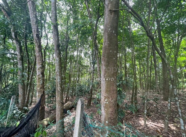 Rawang, Selangor 47000