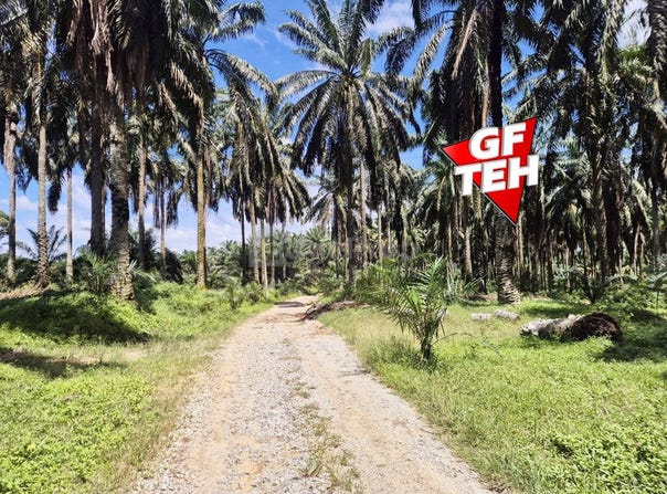 Selama, Perak 0