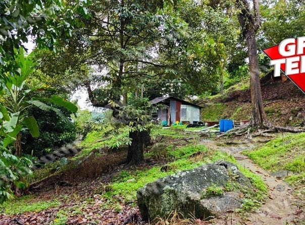Balik Pulau, Penang 11000