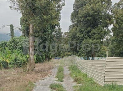 Bentong, Pahang