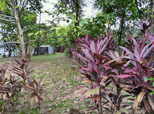 Sungai Buloh, Selangor 0