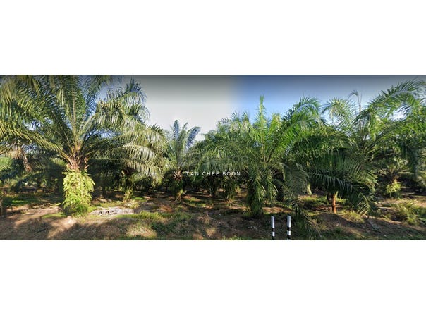 Banting, Selangor 42700