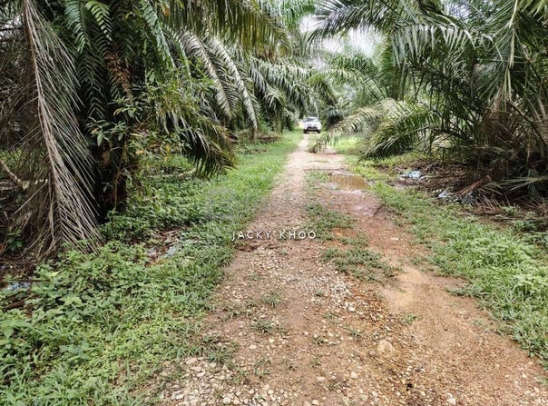 Banting, Selangor 42700