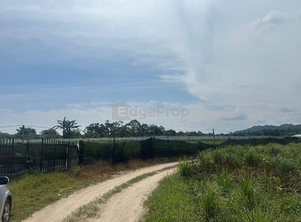 Pontian, Johor 81500