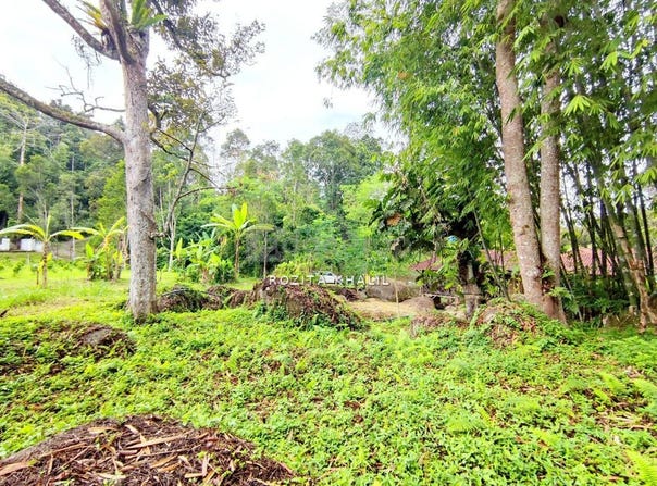 Bentong, Pahang 28750