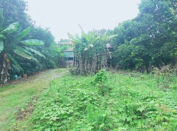 Bentong, Pahang