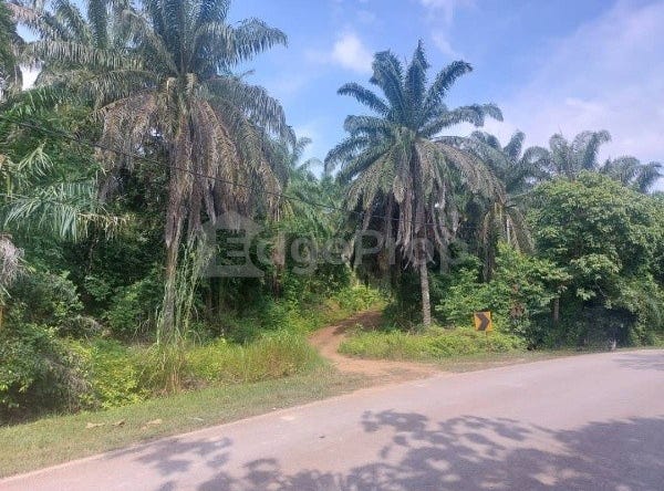 Maran Mengkarak, Pahang 26500