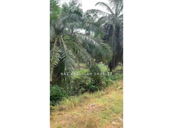 Jenjarom, Selangor 42600